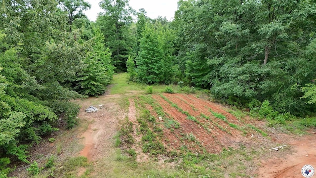 567 Mc 257, Texarkana, AR 71854 - aerial view