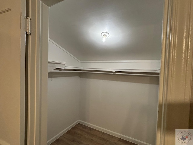 spacious closet featuring dark hardwood / wood-style flooring