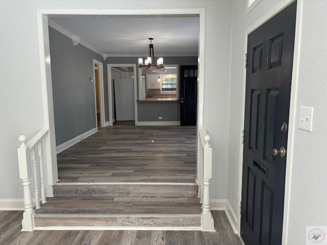 foyer with a chandelier, ornamental molding, and dark hardwood / wood-style floors