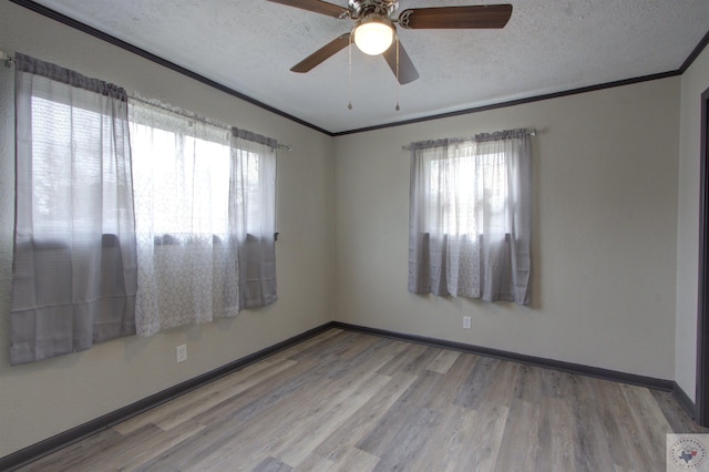 empty room featuring a wealth of natural light, crown molding, light hardwood / wood-style flooring, and a textured ceiling