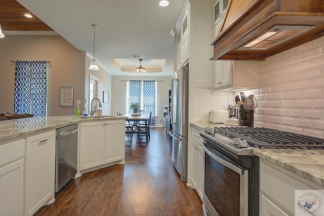 kitchen featuring dark wood-type flooring, custom range hood, stainless steel appliances, a raised ceiling, and a sink