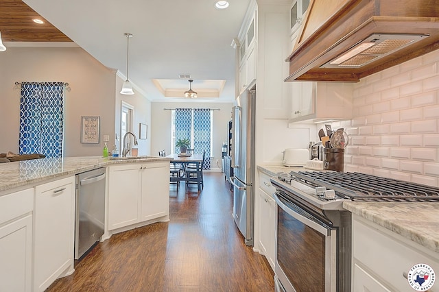 80 Chester Field Cir, Texarkana, TX 75503 - kitchen with appliances with stainless steel finishes, a sink, a raised ceiling, custom range hood, and dark wood-style flooring