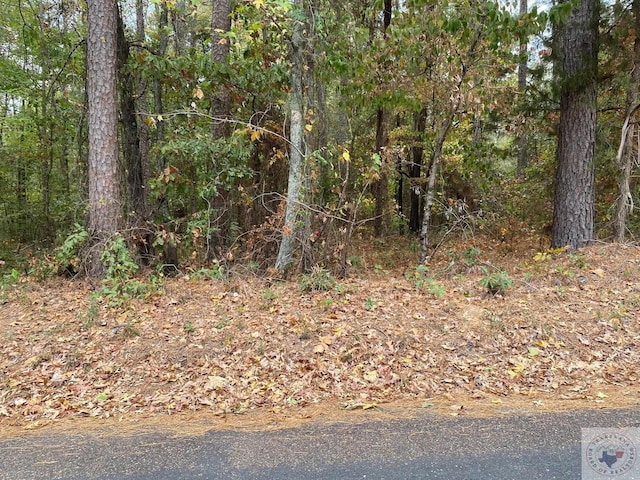 Listing photo 2 for tbd Mc 502, Texarkana AR 71854