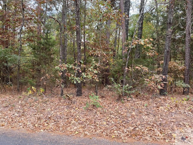 tbd Mc 502, Texarkana AR, 71854 land for sale