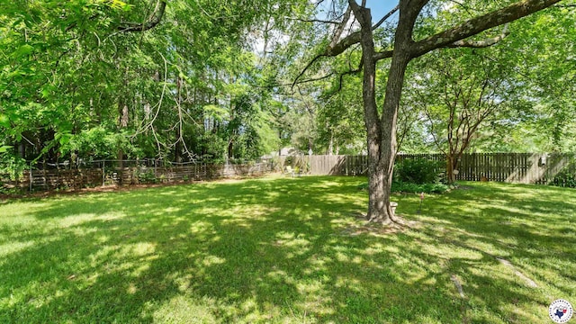6209 N Park Rd, Texarkana, TX 75503 - view of yard featuring a fenced backyard