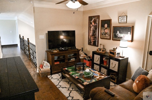 living room with dark hardwood / wood-style floors, ceiling fan, and ornamental molding