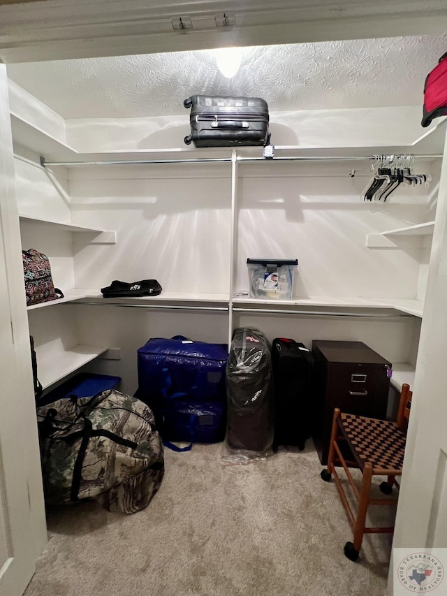 spacious closet featuring light colored carpet