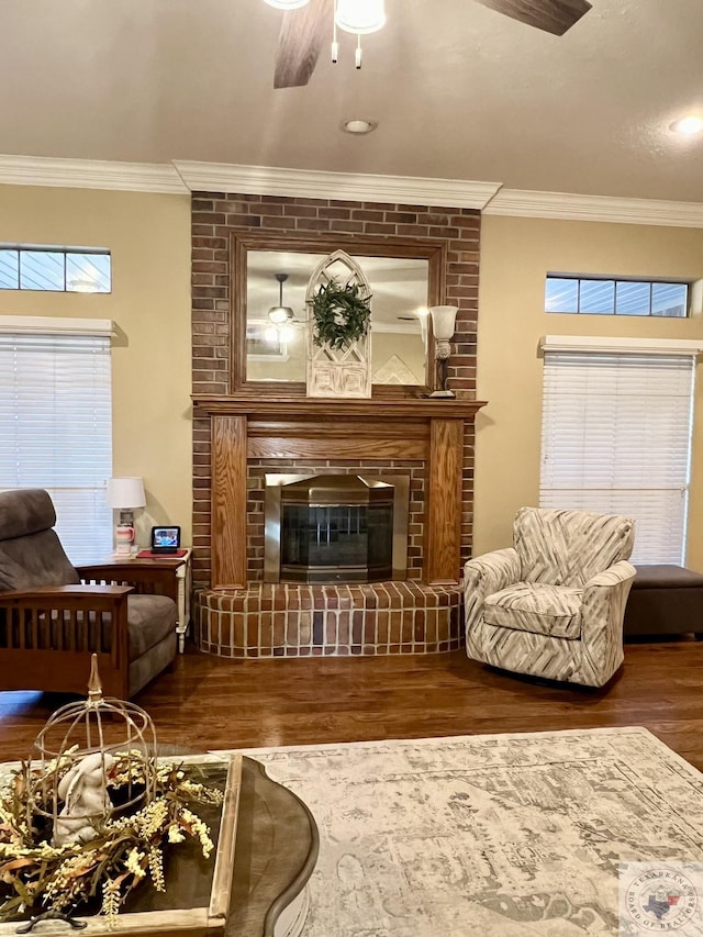 sitting room featuring dark wood-style flooring, a fireplace, a ceiling fan, and crown molding