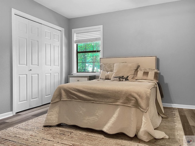 bedroom with hardwood / wood-style floors and a closet