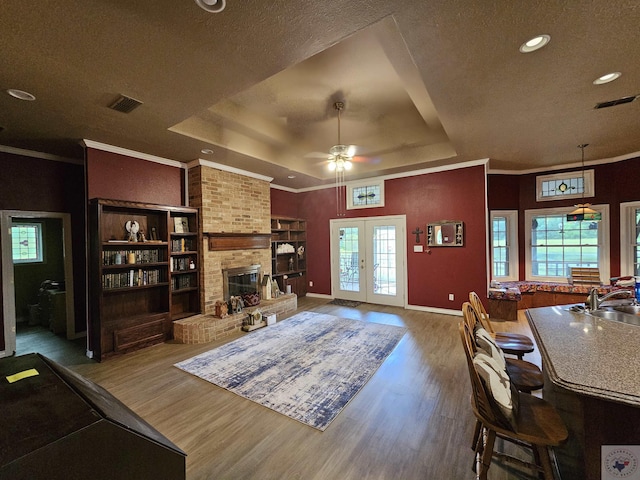 living room featuring hardwood / wood-style floors, french doors, a healthy amount of sunlight, and a raised ceiling