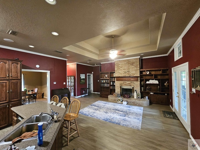 living room featuring sink, dark hardwood / wood-style floors, a raised ceiling, and a fireplace