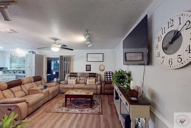 living room featuring a textured ceiling, wood-type flooring, sink, ceiling fan, and crown molding