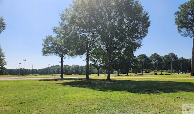 Listing photo 2 for LOT28 Oak Grove Pl, New Boston TX 75570