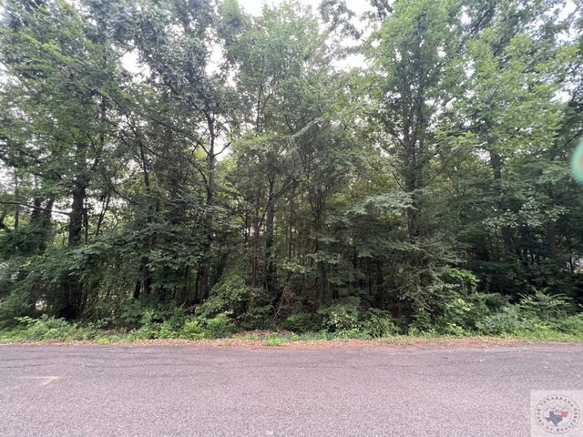 LOT15 Lakeview Dr, Texarkana, TX 75503 - photo 4