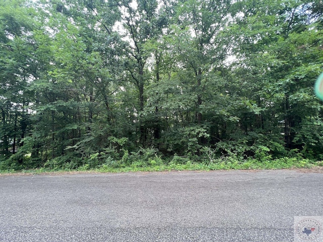 LOT15 Lakeview Dr, Texarkana, TX 75503 - photo 10