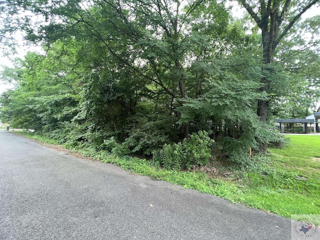 LOT15 Lakeview Dr, Texarkana, TX 75503 - photo 6
