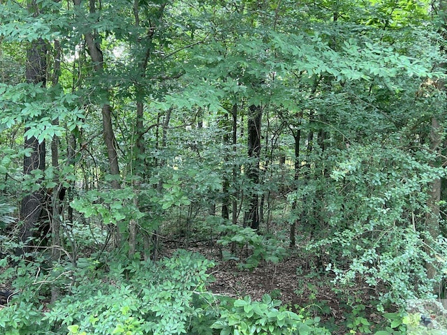 LOT15 Lakeview Dr, Texarkana, TX 75503 - photo 9