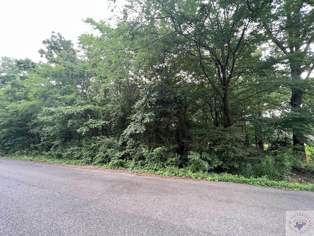 LOT15 Lakeview Dr, Texarkana, TX 75503 - photo 8