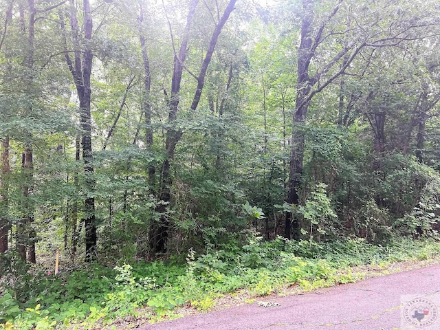LOT15 Lakeview Dr, Texarkana, TX 75503 - photo 2
