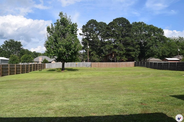 4802 David Dr, Texarkana, TX 75503 - view of yard