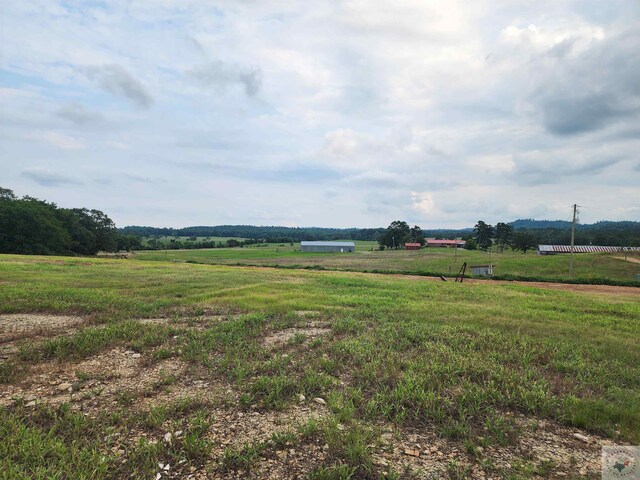 view of yard with a rural view