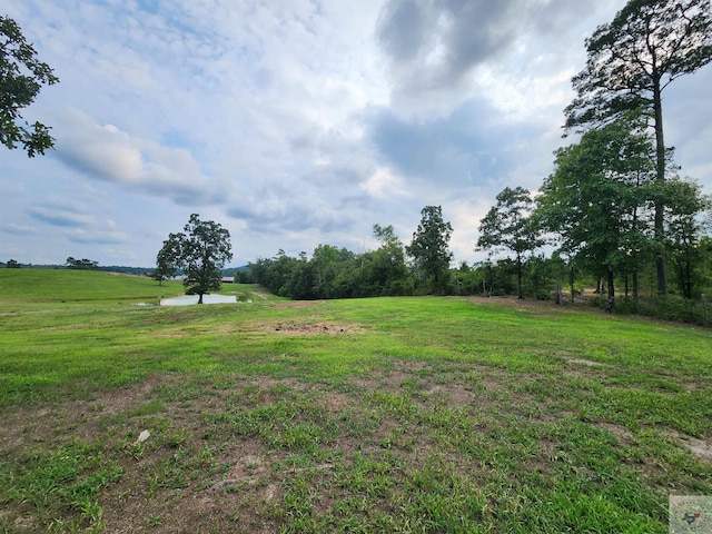 view of yard featuring a rural view