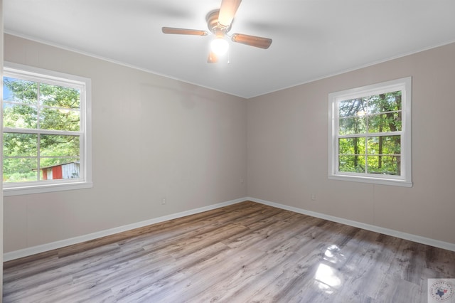 spare room with light hardwood / wood-style floors and ceiling fan