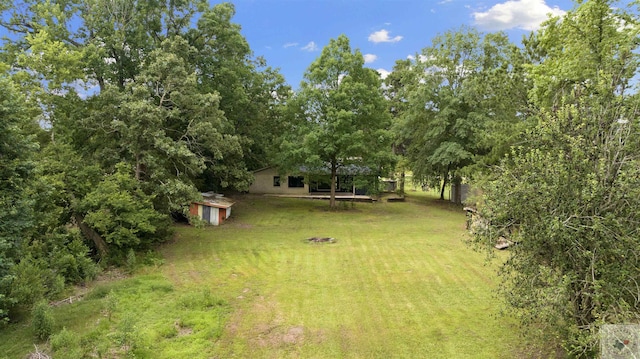 view of yard featuring a shed