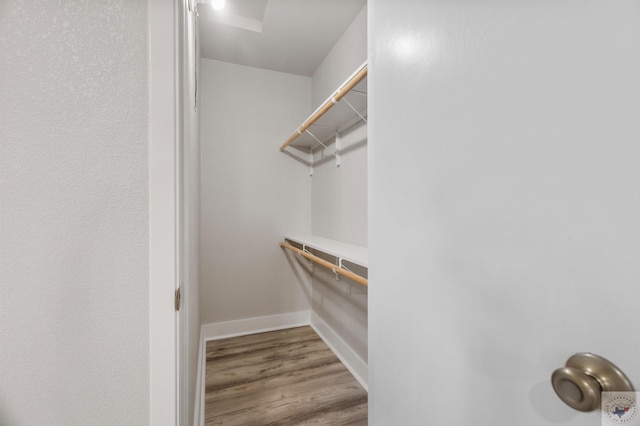 walk in closet with hardwood / wood-style floors