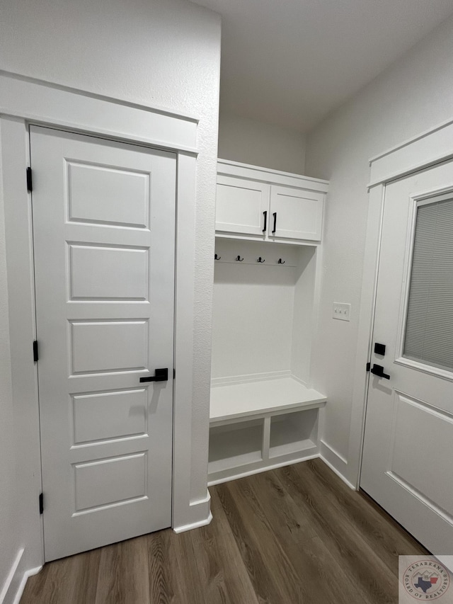 mudroom with dark hardwood / wood-style floors