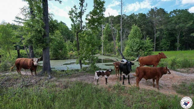 20.62ACTBD Fm 3129, Bloomburg, TX 75556