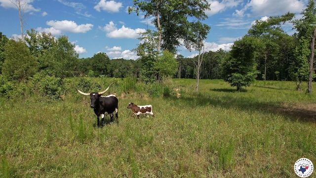 20.62ACTBD Fm 3129, Bloomburg, TX 75556