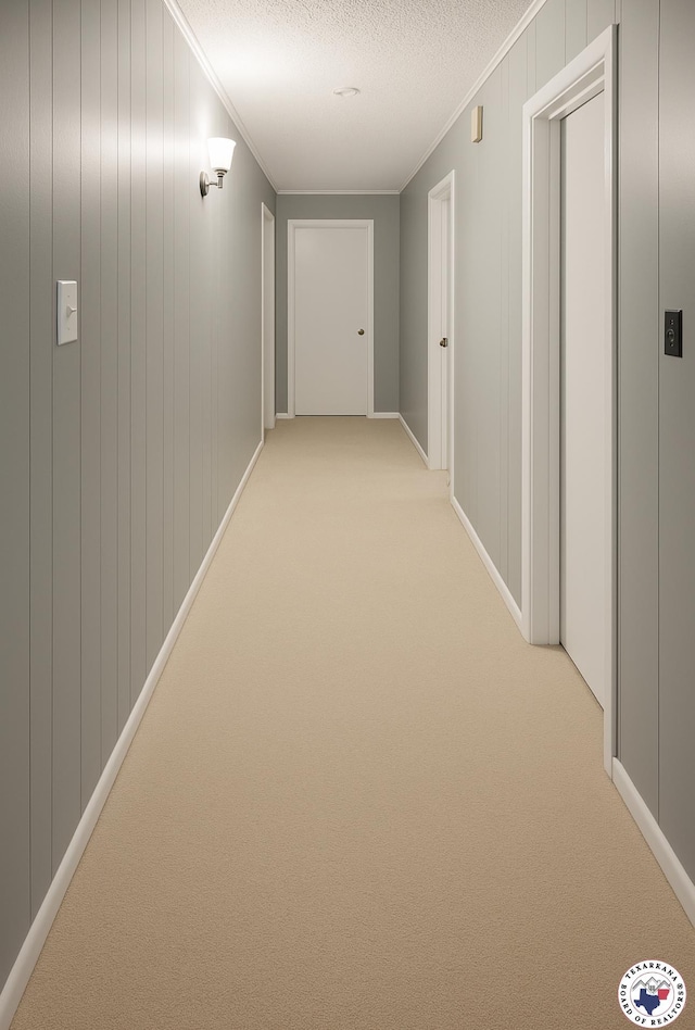 24 Desoto Cir, Texarkana, TX 75503 - corridor with light colored carpet, ornamental molding, and a textured ceiling