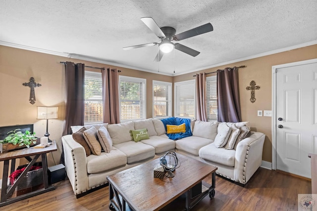 living room featuring ceiling fan, dark wood-type flooring, a textured ceiling, and ornamental molding