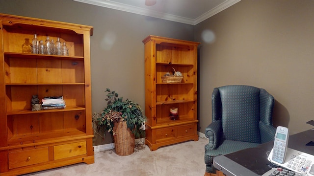 office featuring light colored carpet and ornamental molding