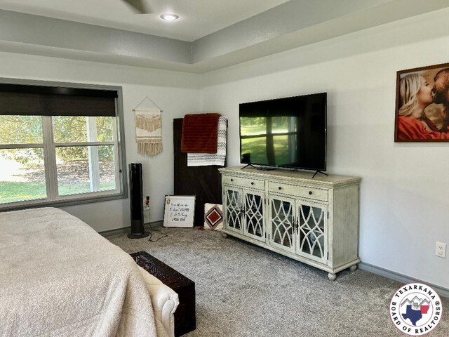 19913 Fm 125, Bivins, TX 75555 - bedroom with baseboards and carpet flooring