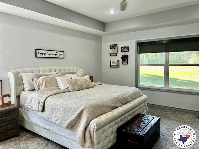 19913 Fm 125, Bivins, TX 75555 - bedroom with carpet floors