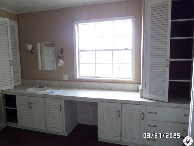 interior space featuring white cabinets, light countertops, a sink, and crown molding