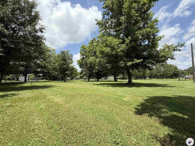 204 Browning Dr, Hooks, TX 75561 - photo 6