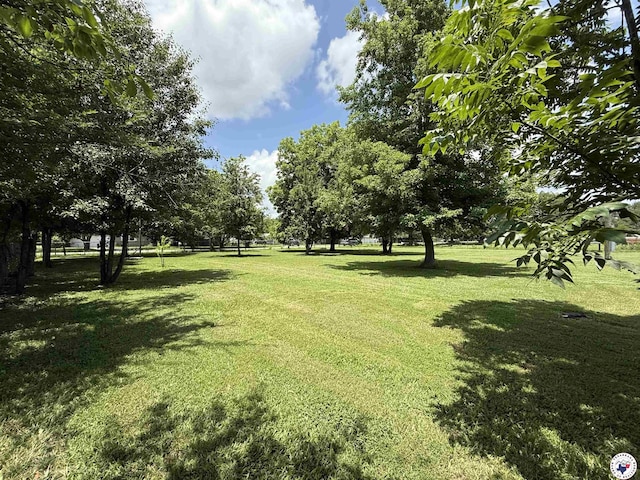 204 Browning Dr, Hooks, TX 75561 - photo 5