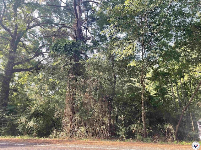 2.25ACRES Fm 1398, Hooks, TX 75561 - photo 6