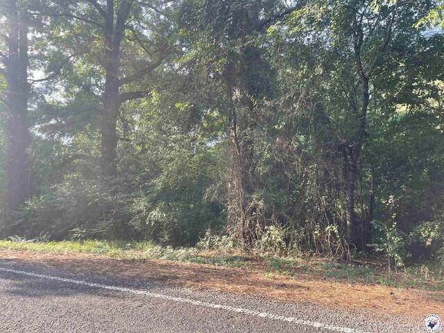 2.25ACRES Fm 1398, Hooks, TX 75561 - photo 7