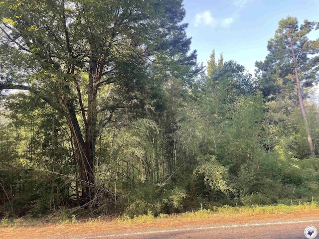 2.25ACRES Fm 1398, Hooks, TX 75561 - photo 1