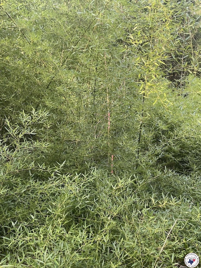 2.25ACRES Fm 1398, Hooks, TX 75561 - photo 10