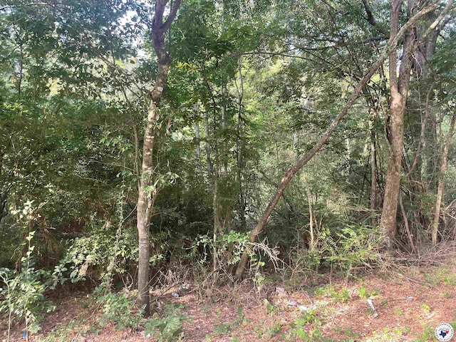 2.25ACRES Fm 1398, Hooks, TX 75561 - photo 8
