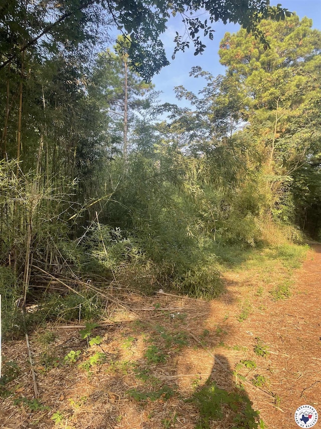 2.25ACRES Fm 1398, Hooks, TX 75561 - photo 4