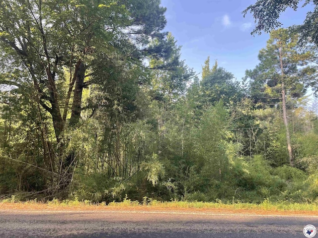2.25ACRES Fm 1398, Hooks, TX 75561 - photo 2