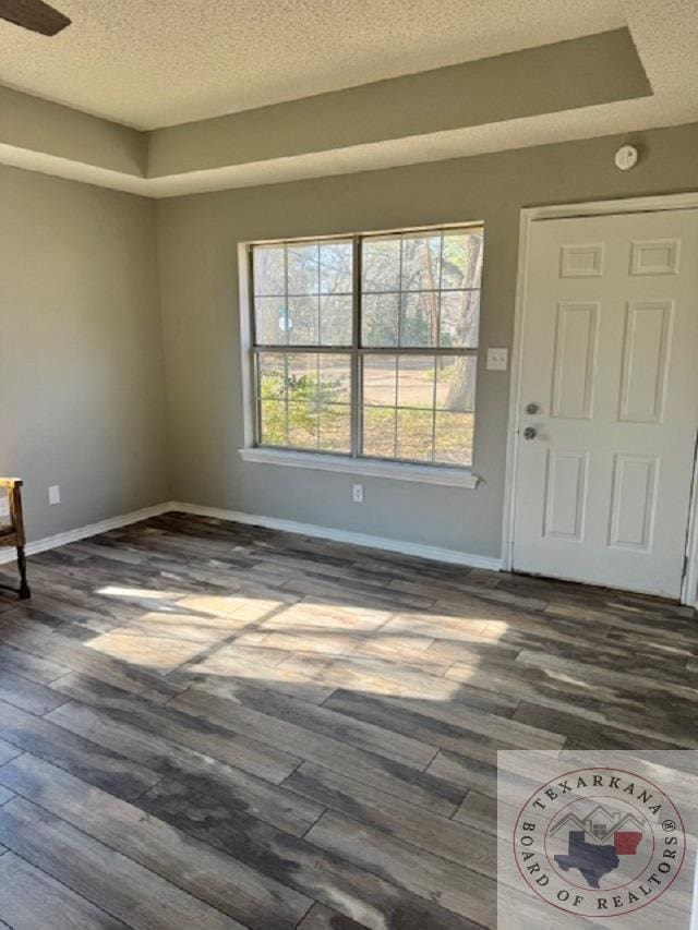 entryway featuring a textured ceiling, dark hardwood / wood-style floors, and a healthy amount of sunlight