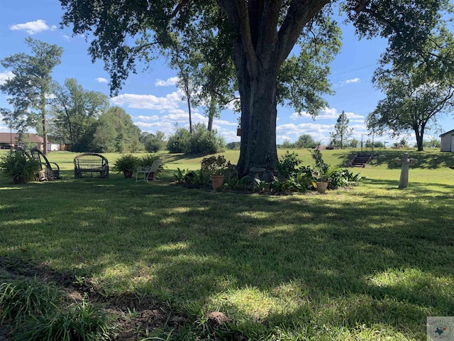 view of yard