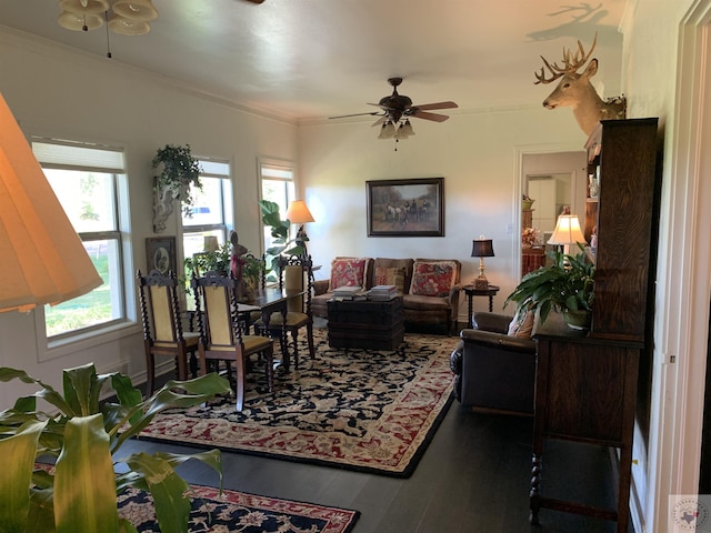 living room featuring ceiling fan, plenty of natural light, dark hardwood / wood-style flooring, and ornamental molding